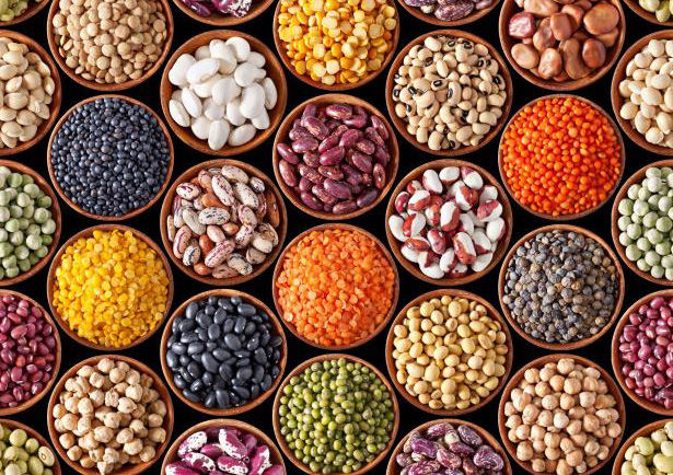 Assorted Ethiopian export commodities