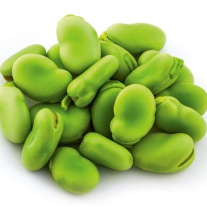Faba Beans — AMIDAAB export product