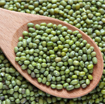 Mung Beans — AMIDAAB export product