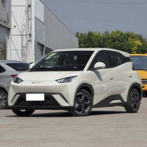 Electric Vehicles